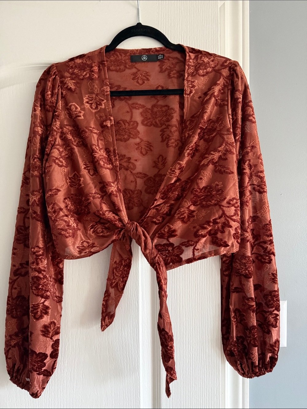 Missguided Rust Burnout Floral Tie-Front Blouse